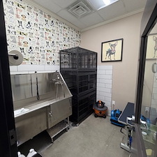 Awesome-Animal-Clinic-in-Acworth-Georgia-for-Awesome-Client 9