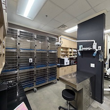 Awesome-Animal-Clinic-in-Acworth-Georgia-for-Awesome-Client 8