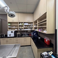 Awesome-Animal-Clinic-in-Acworth-Georgia-for-Awesome-Client 5