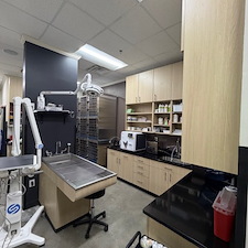 Awesome-Animal-Clinic-in-Acworth-Georgia-for-Awesome-Client 4